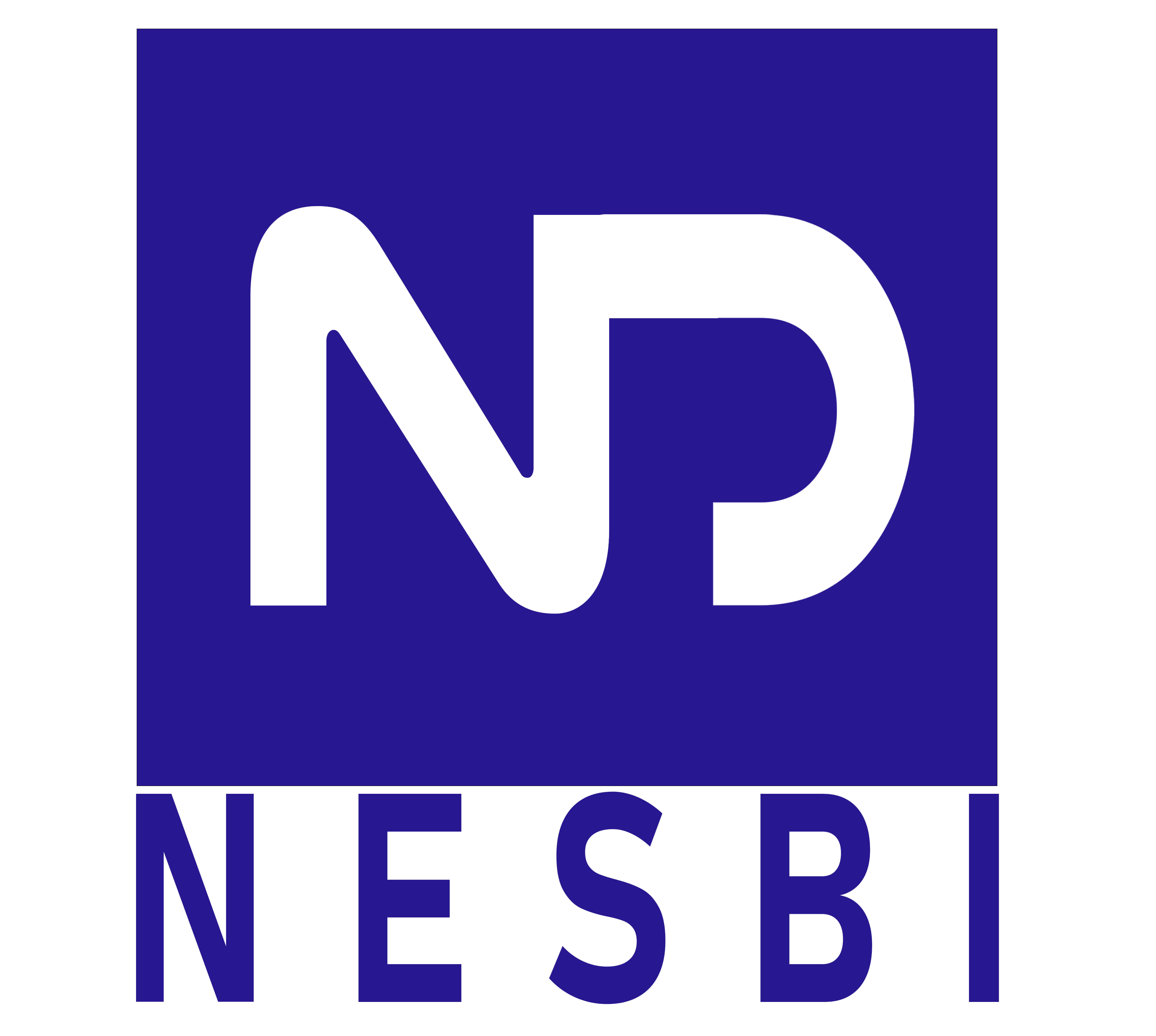 NESBI DIGITAL - Agence Digitale Bénin